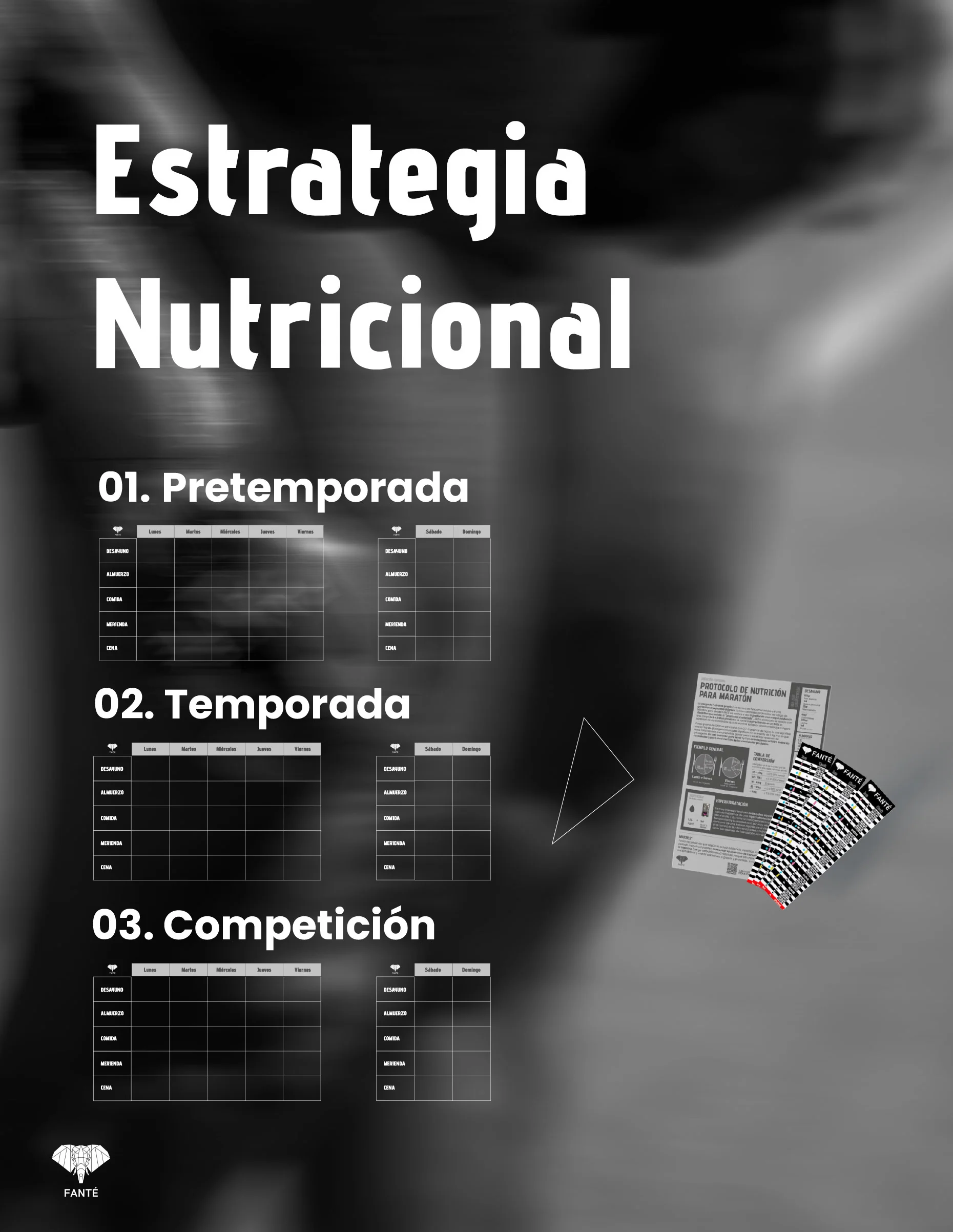 Nutrición durante la temporada - Image 3