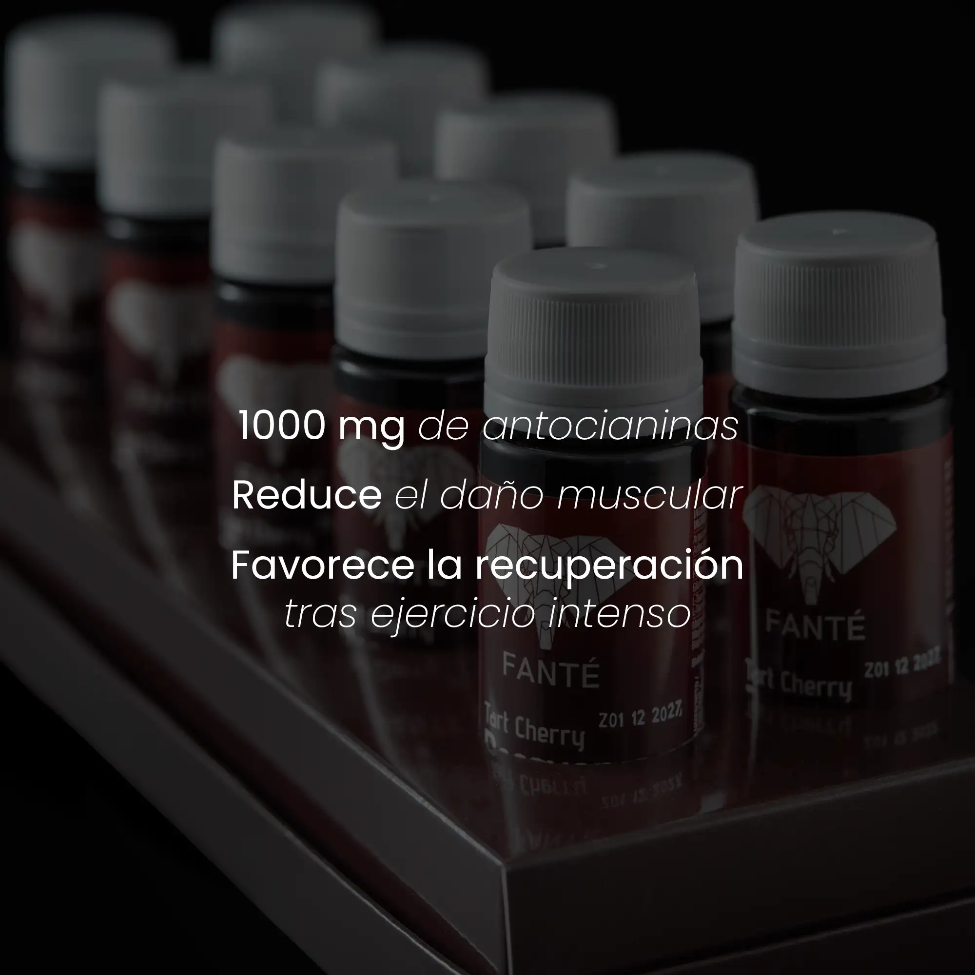 Tart Cherry Recovery Shot - Image 4